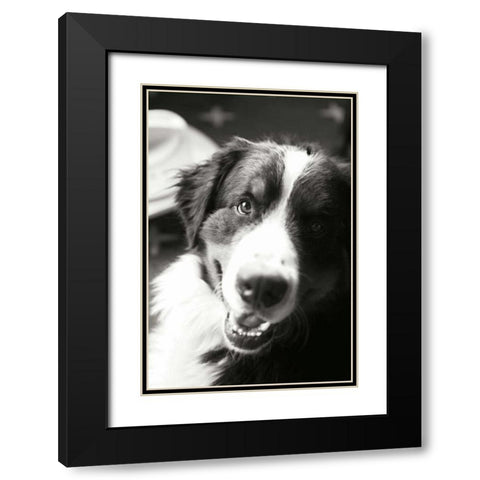 Ranch Dog Black Modern Wood Framed Art Print with Double Matting by Millet, Karyn