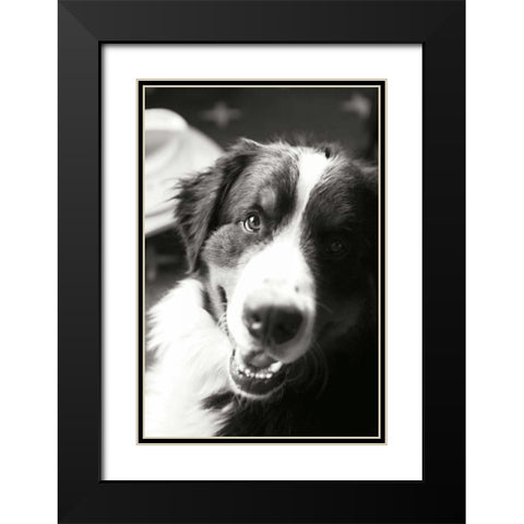 Ranch Dog Black Modern Wood Framed Art Print with Double Matting by Millet, Karyn
