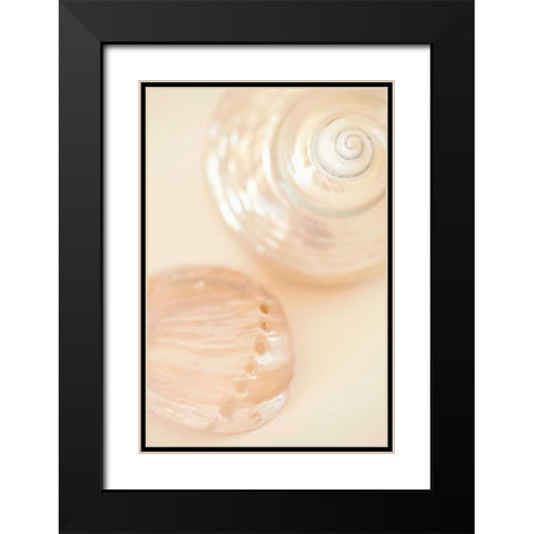 Ocean Treasures II Black Modern Wood Framed Art Print with Double Matting by Millet, Karyn