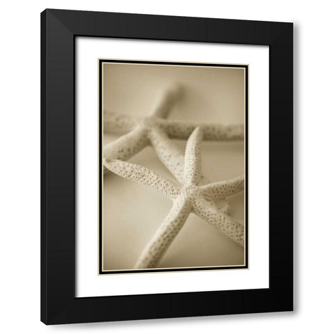 Ocean Treasures V Black Modern Wood Framed Art Print with Double Matting by Millet, Karyn