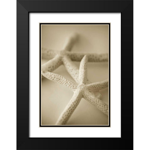 Ocean Treasures V Black Modern Wood Framed Art Print with Double Matting by Millet, Karyn