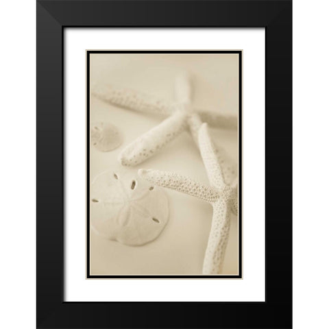 Ocean Treasures VI Black Modern Wood Framed Art Print with Double Matting by Millet, Karyn