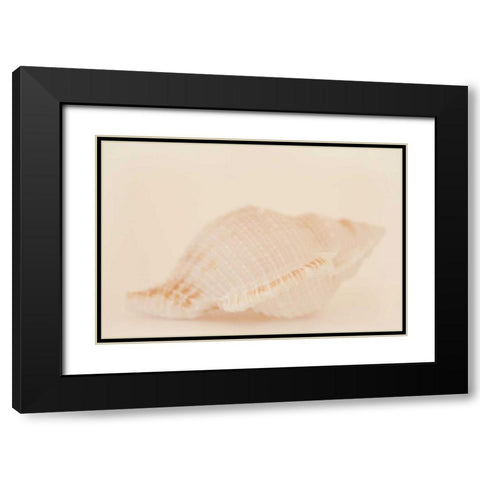 Ocean Treasures VIII Black Modern Wood Framed Art Print with Double Matting by Millet, Karyn