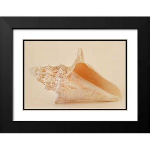 Ocean Treasures IX Black Modern Wood Framed Art Print with Double Matting by Millet, Karyn