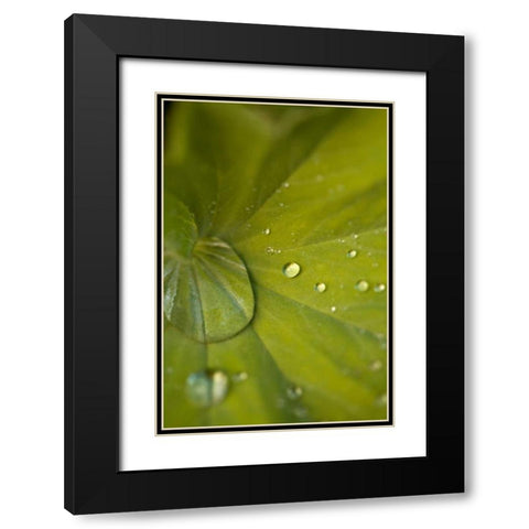 Tropical Leaves I Black Modern Wood Framed Art Print with Double Matting by Millet, Karyn