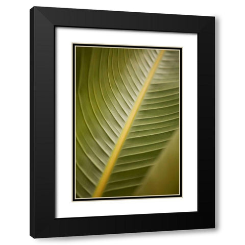 Tropical Leaves II Black Modern Wood Framed Art Print with Double Matting by Millet, Karyn