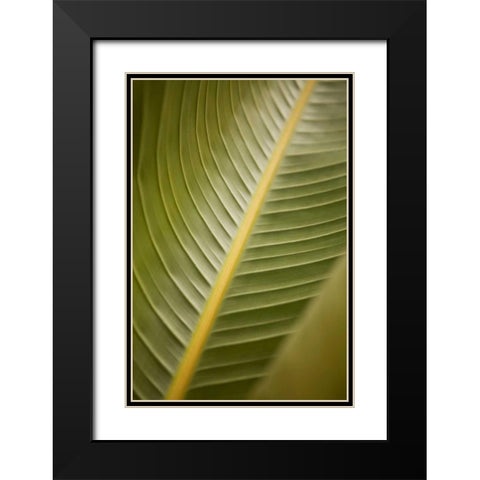 Tropical Leaves II Black Modern Wood Framed Art Print with Double Matting by Millet, Karyn