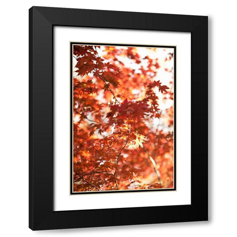 In the Trees I Black Modern Wood Framed Art Print with Double Matting by Millet, Karyn