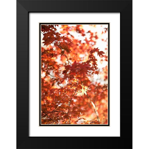 In the Trees I Black Modern Wood Framed Art Print with Double Matting by Millet, Karyn