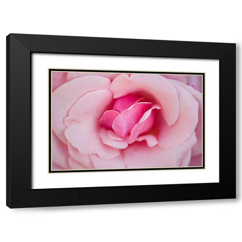 In Full Bloom II Black Modern Wood Framed Art Print with Double Matting by Millet, Karyn