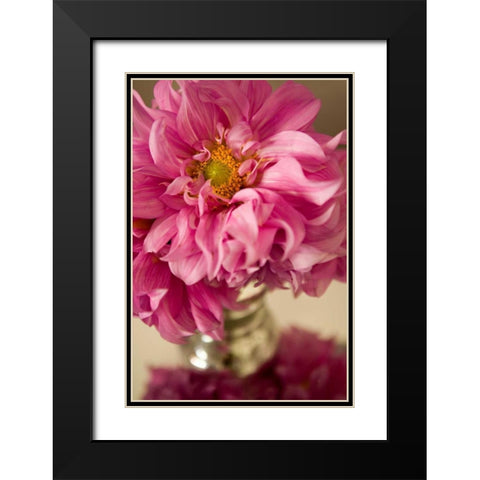 Pink Bouquet Black Modern Wood Framed Art Print with Double Matting by Millet, Karyn