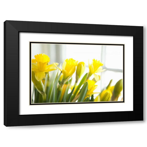 Leaning Daffodils Black Modern Wood Framed Art Print with Double Matting by Millet, Karyn