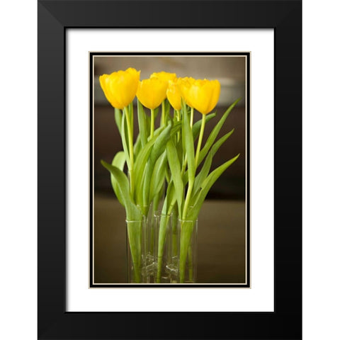 Yellow Tulips Black Modern Wood Framed Art Print with Double Matting by Millet, Karyn