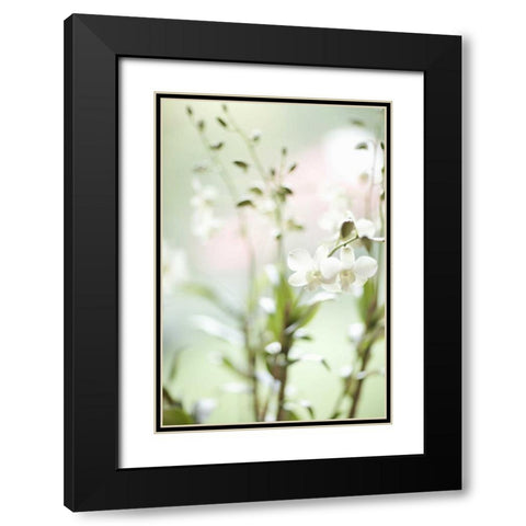 White Orchid I Black Modern Wood Framed Art Print with Double Matting by Millet, Karyn