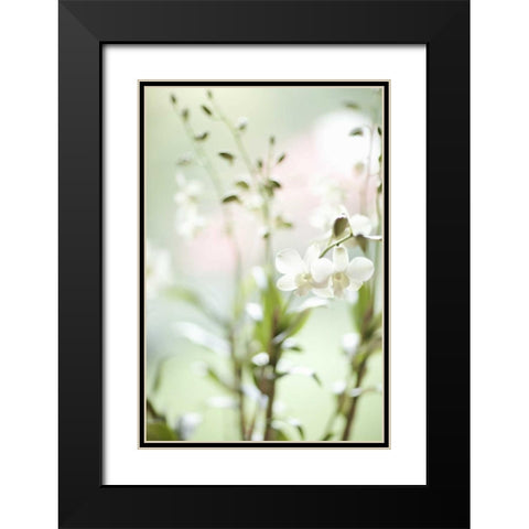 White Orchid I Black Modern Wood Framed Art Print with Double Matting by Millet, Karyn