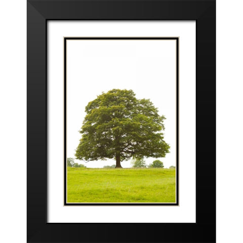 Tree I Black Modern Wood Framed Art Print with Double Matting by Millet, Karyn