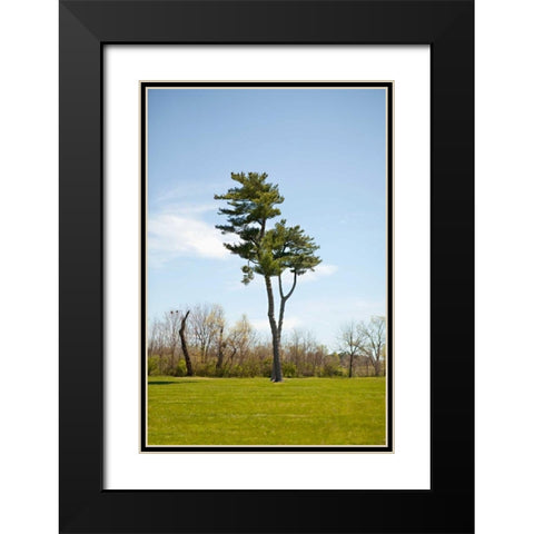 Tree II Black Modern Wood Framed Art Print with Double Matting by Millet, Karyn