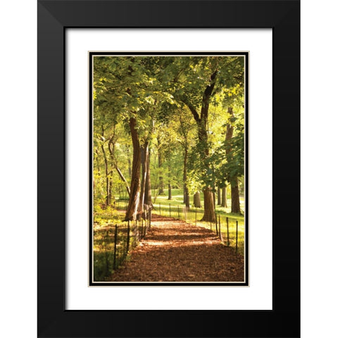 Follow the Path II Black Modern Wood Framed Art Print with Double Matting by Millet, Karyn