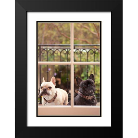 A Dogs Life II Black Modern Wood Framed Art Print with Double Matting by Millet, Karyn