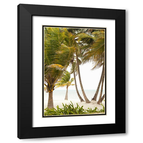 Tropical Oasis II Black Modern Wood Framed Art Print with Double Matting by Millet, Karyn