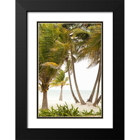 Tropical Oasis II Black Modern Wood Framed Art Print with Double Matting by Millet, Karyn