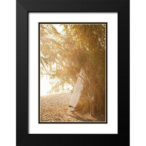 Tropical Oasis V Black Modern Wood Framed Art Print with Double Matting by Millet, Karyn