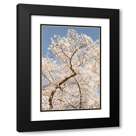 In Bloom II Black Modern Wood Framed Art Print with Double Matting by Millet, Karyn