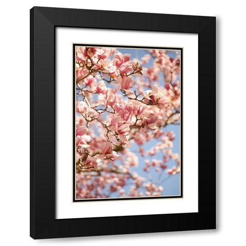 In Bloom III Black Modern Wood Framed Art Print with Double Matting by Millet, Karyn