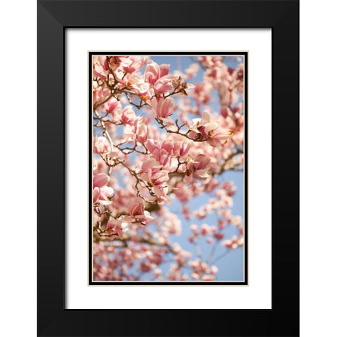 In Bloom III Black Modern Wood Framed Art Print with Double Matting by Millet, Karyn