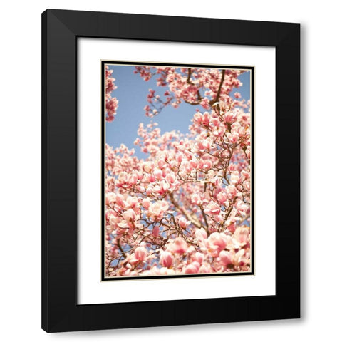 In Bloom IV Black Modern Wood Framed Art Print with Double Matting by Millet, Karyn