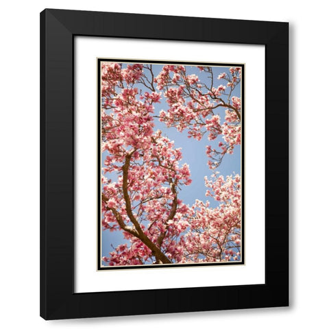 In Bloom V Black Modern Wood Framed Art Print with Double Matting by Millet, Karyn