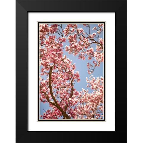 In Bloom V Black Modern Wood Framed Art Print with Double Matting by Millet, Karyn