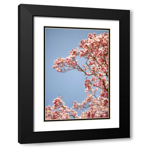 In Bloom VI Black Modern Wood Framed Art Print with Double Matting by Millet, Karyn