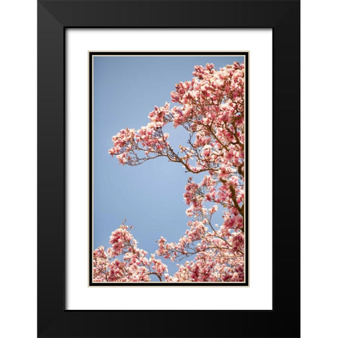 In Bloom VI Black Modern Wood Framed Art Print with Double Matting by Millet, Karyn