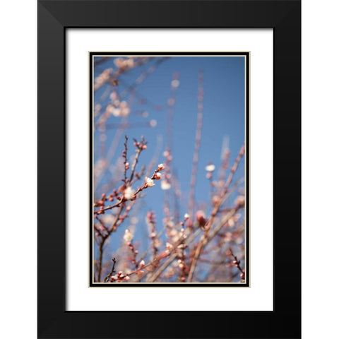 In Bloom IX Black Modern Wood Framed Art Print with Double Matting by Millet, Karyn