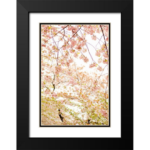 In Bloom XVIII Black Modern Wood Framed Art Print with Double Matting by Millet, Karyn