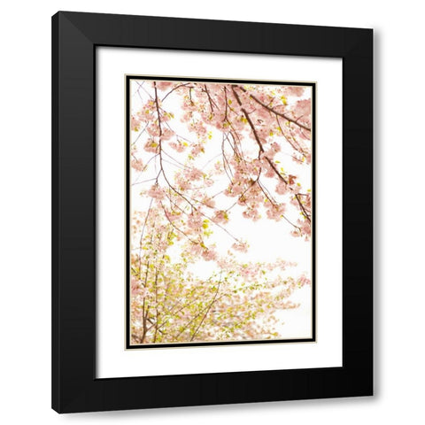 In Bloom XIX Black Modern Wood Framed Art Print with Double Matting by Millet, Karyn