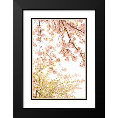 In Bloom XIX Black Modern Wood Framed Art Print with Double Matting by Millet, Karyn