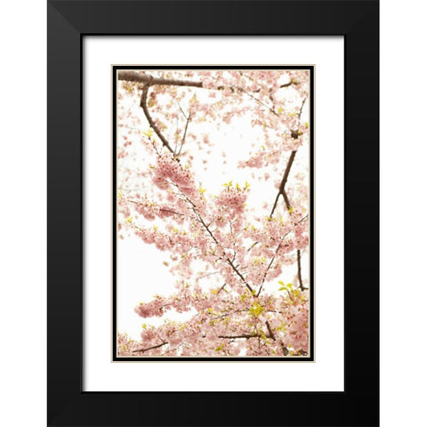 In Bloom XXI Black Modern Wood Framed Art Print with Double Matting by Millet, Karyn