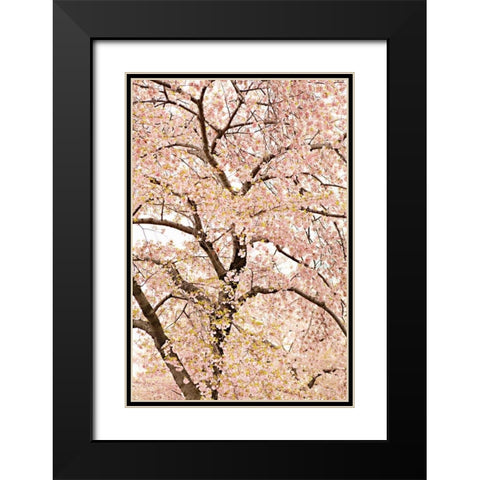 In Bloom XXII Black Modern Wood Framed Art Print with Double Matting by Millet, Karyn