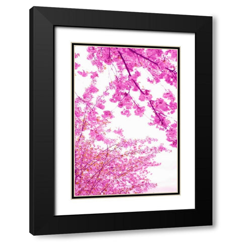 Bright Blooms I Black Modern Wood Framed Art Print with Double Matting by Millet, Karyn