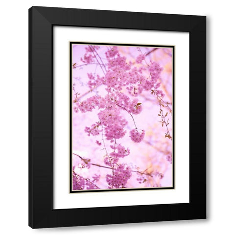 Bright Blooms III Black Modern Wood Framed Art Print with Double Matting by Millet, Karyn