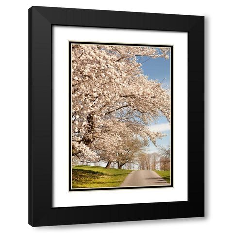 In the Park I Black Modern Wood Framed Art Print with Double Matting by Millet, Karyn