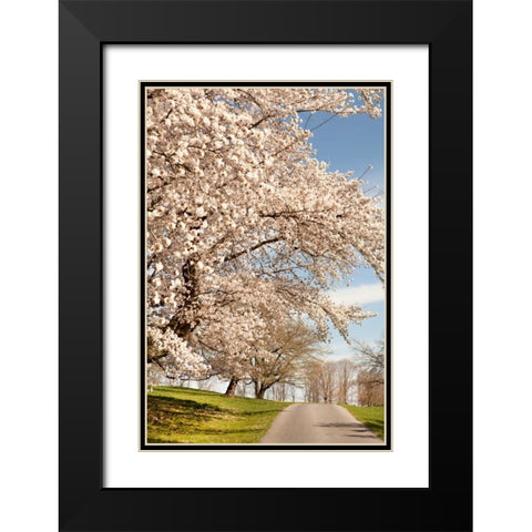In the Park I Black Modern Wood Framed Art Print with Double Matting by Millet, Karyn