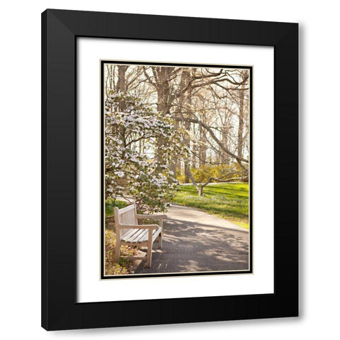 In the Park II Black Modern Wood Framed Art Print with Double Matting by Millet, Karyn