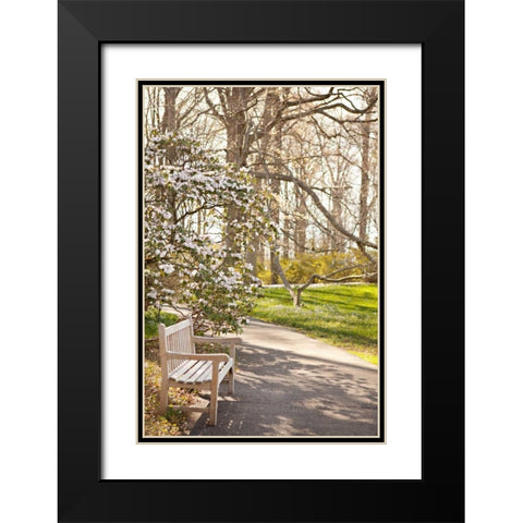 In the Park II Black Modern Wood Framed Art Print with Double Matting by Millet, Karyn