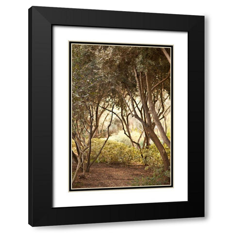 Secret Garden I Black Modern Wood Framed Art Print with Double Matting by Millet, Karyn