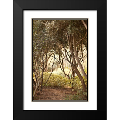 Secret Garden I Black Modern Wood Framed Art Print with Double Matting by Millet, Karyn