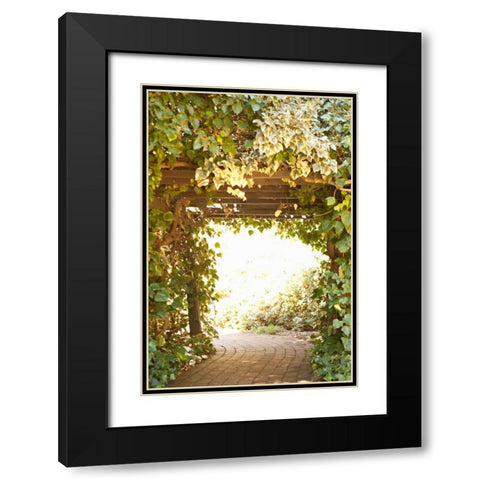 Secret Garden II Black Modern Wood Framed Art Print with Double Matting by Millet, Karyn