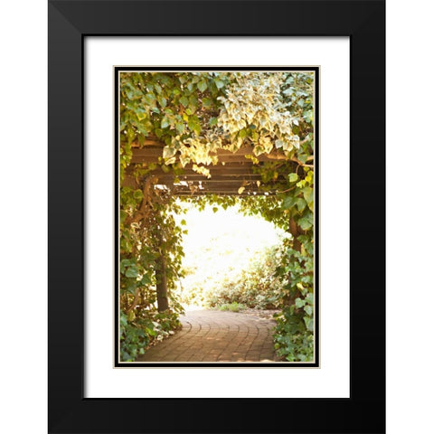 Secret Garden II Black Modern Wood Framed Art Print with Double Matting by Millet, Karyn